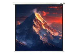 celexon écran de projection manuel Economy 160 x 160 cm - 89"