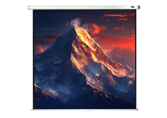 celexon écran de projection manuel Economy 160 x 160 cm - 89"