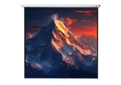 celexon écran de projection manuel Economy 240 x 240 cm - 134"