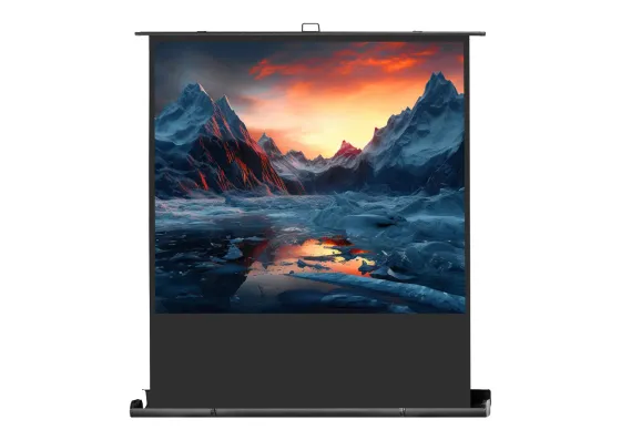 celexon écran de projection Mobile Professionnel Plus 180 x 135 - 89"