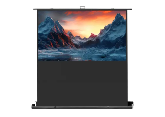 celexon écran de projection Ultramobile Professionell Plus 180 x 102 - 81"