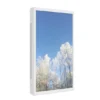Coffre d'écran extérieur HI-ND pour LG 55XE4F, blanc