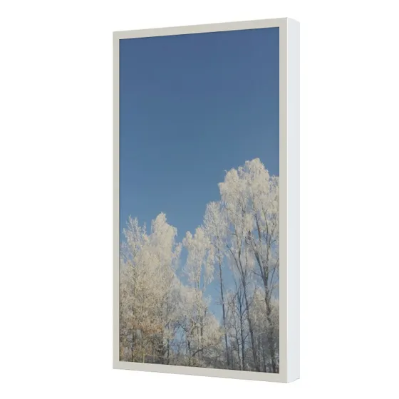 Coffre mural HI-ND 75" PROTECT - 75" (portrait), blanc