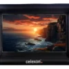 Écran de projection celexon gonflable d'extérieur INF200