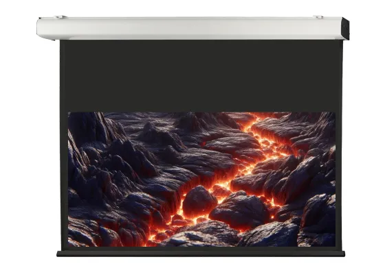 Écran de projection motorisé celexon Expert XL 450 x 281 cm