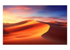 Écran de projection sur cadre celexon Expert PureWhite 300 x 169 cm