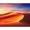 Écran de projection sur cadre celexon Expert PureWhite 400 x 225 cm