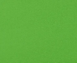 Écran à fond vert celexon ultra-mobile Chroma Key, 150 x 200cm