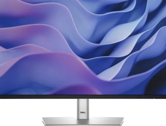 Dell P2425H - Moniteur IPS 24", 1920 x 1080 Full HD, 100Hz, 8ms