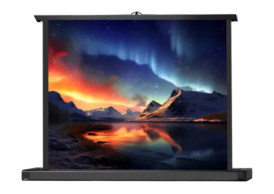 Ecran de projection celexon Mini PRO 81 x 61cm