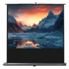 Ecran de projection celexon Ultramobile PRO 180 x 135 cm