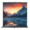 Ecran de projection celexon Ultramobile PRO 160 x 160 cm