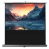 Ecran de projection celexon Ultramobile PRO 180 x 113 cm