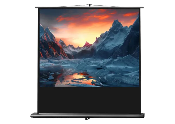 Ecran de projection celexon Ultramobile PRO 120 x 90 cm