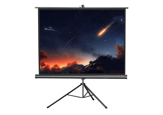 Ecran de projection sur pied celexon Economy 176 x 132 cm