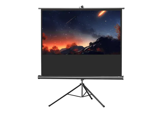 Ecran de projection sur pied celexon Economy 219 x 123 cm