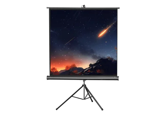 Ecran de projection sur pied celexon Economy 184 x 184 cm