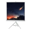 Ecran de projection sur pied celexon Economy 244 x 244 cm- White Edition