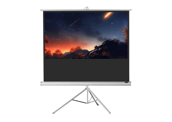 Ecran de projection sur pied celexon Economy 219 x 123 cm - White Edition