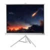 Ecran de projection sur pied celexon Economy 176 x 132 cm - White Edition