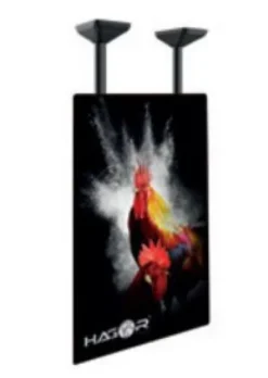 Hagor PLD Single HD Portrait - Support plafond pour charges lourdes - 75-100" | max. VESA 900x600 | charge admissible 100 kg - Portrait