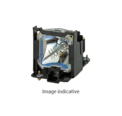 Lampe de rechange pour Ricoh PJ S2340, PJ X2340 Module Compatible (remplace: Typ 26)