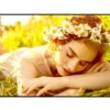 LG 65UL5Q-E Affichage dynamique webOS 4K UHD de 65 pouces pour un fonctionnement 24 heures sur 24, 7 jours sur 7