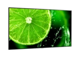 NEC E988 98" Display