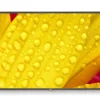 NEC MultiSync M551-2 - Display 55"