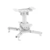 Neomounts CL25-530WH1 Support de fixation au plafond pour vidéoprojecteur, blanc