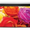 Optoma DS-1109PMG+ Écran de projection enroulable, 234 x 146,3 16:10, blanc mat