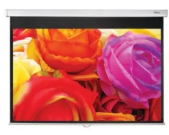 Optoma DS-1109PMG+ Écran de projection enroulable, 234 x 146,3 16:10, blanc mat