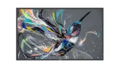 Philips 65BDL3511Q/02 Écran Ultra HD Q-Line 65 pouces avec lecteur multimédia intégré