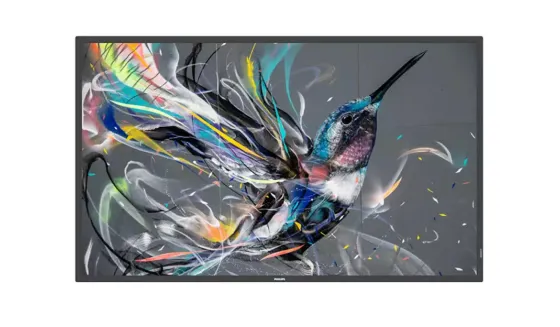 Philips 65BDL3511Q/02 Écran Ultra HD Q-Line 65 pouces avec lecteur multimédia intégré