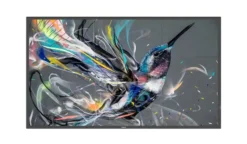 Philips 55BDL3511Q/00 55" Display