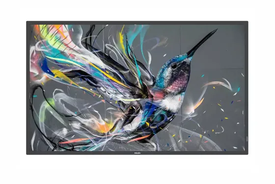 Philips 65BDL3650QE/00 - Display 65"