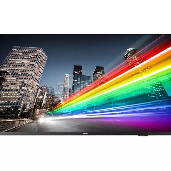 Philips 55BFL2214/12 55" Display