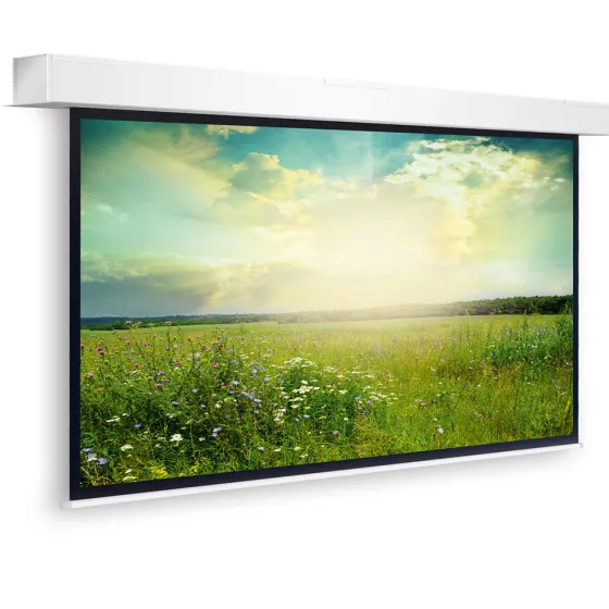 Projecta Descender Large Electrol, 4:3, 450 x 340 cm, blanc mat