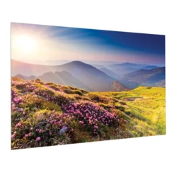 Projecta Ecran de projection sur cadre FullVision, 600 x 375 cm, 16:10, blanc mat