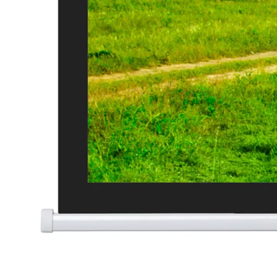 Projecta Ecran de projection motorisé Elpro Concept 240x 139 16:9 blanc mat