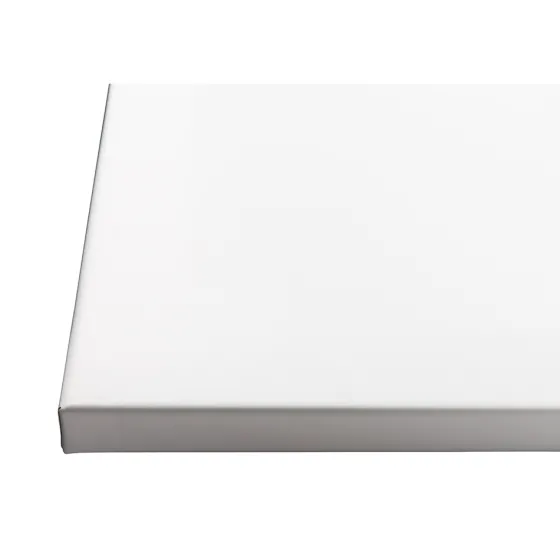 Projecta Ecran de projection sur Cadre FullVision, 500x 313 cm, 16:10, blanc mat