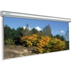 Projecta Ecran de projection motorisé Master Electrol 400x 400cm, 1:1, Blanc Mat