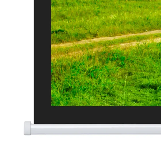 Projecta Ecran de projection motorisé Elpro Concept 240x 239 16:9 , blanc mat