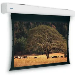 Projecta Tensioned Elpro Large Electrol, 400x 229 cm, 16:9 blanc mat