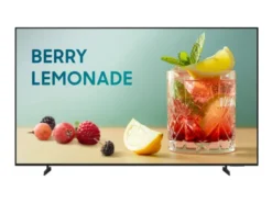 Samsung BE55FX-H téléviseur Business Pro de 55 pouces