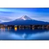 Sharp Écran professionnel grand format LCD MultiSync P436 de 43 pouces