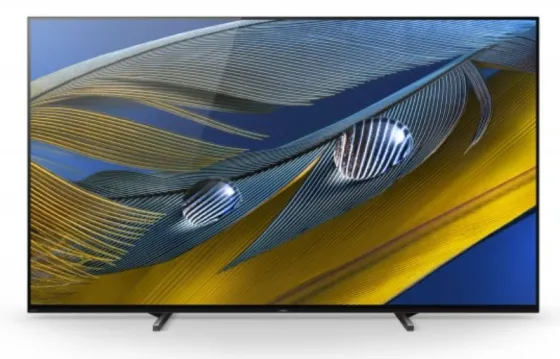 Sony FWD-65A80J 65" Display