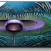 Sony FWD-75Z9J 75" Display