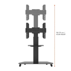 Support mobile/fixe celexon PRO Adjust-3770MP réglable en hauteur manuellement - 37’’-70’’