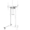 Support mobile Neomounts FL55-875WH1 réglable en hauteur électriquement - 55"-100", Blanc